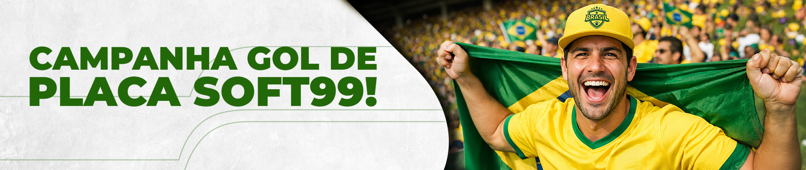 Gol de placa Soft99